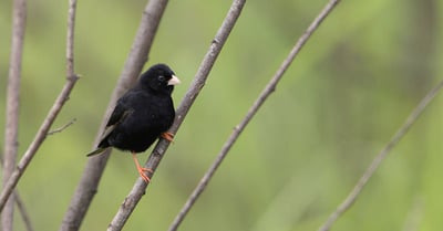 Évaluation de la durabilité : Comment mesurer l’impact environnemental de votre entreprise