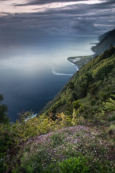 La biodiversité urbaine : un enjeu crucial pour nos villes