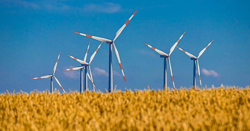 Éolienne verticale pour particulier : avis et retours d'expérience