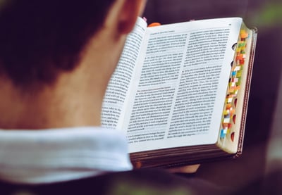 Éthique alimentaire : comprendre les enjeux de notre consommation
