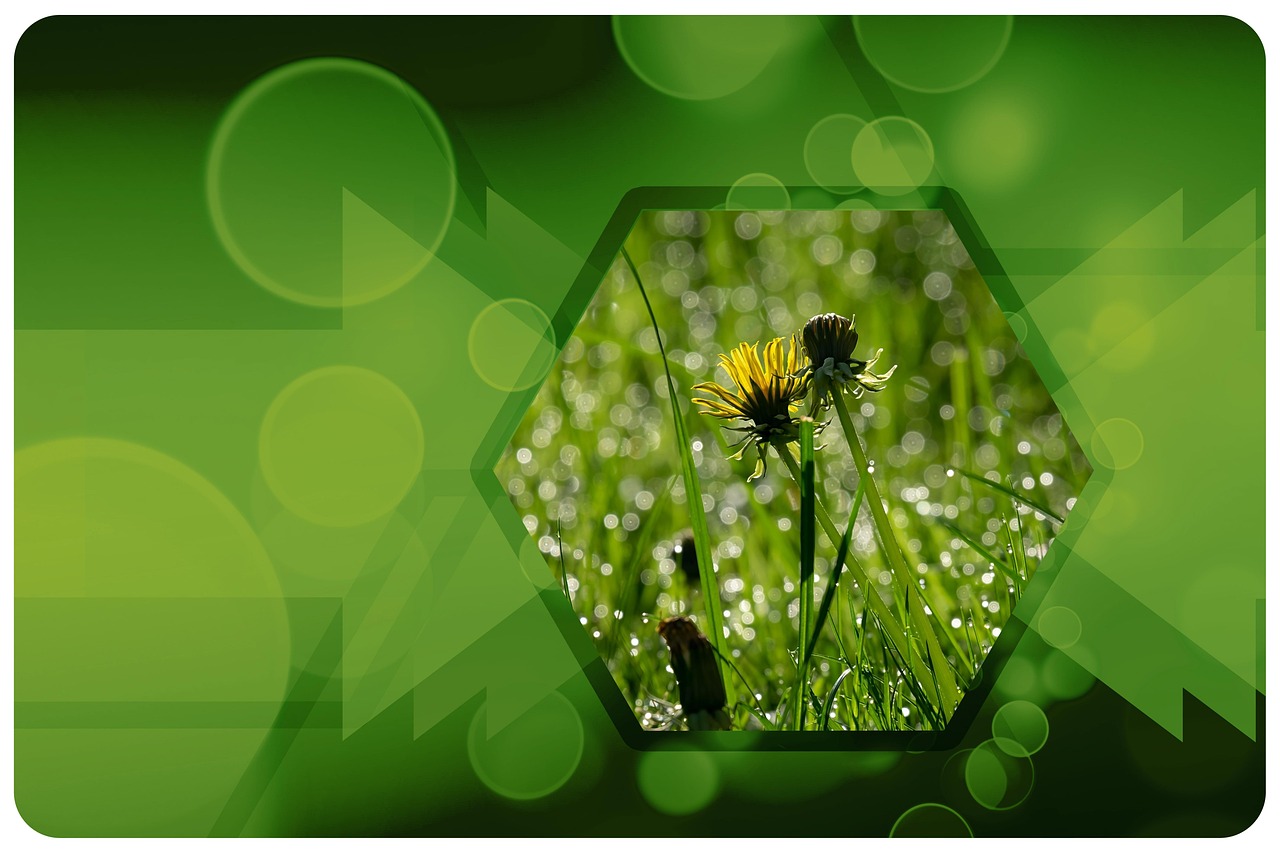 découvrez des stratégies innovantes et efficaces pour la protection de l'environnement. apprenez comment agir au quotidien pour préserver notre planète et contribuer à un avenir durable.