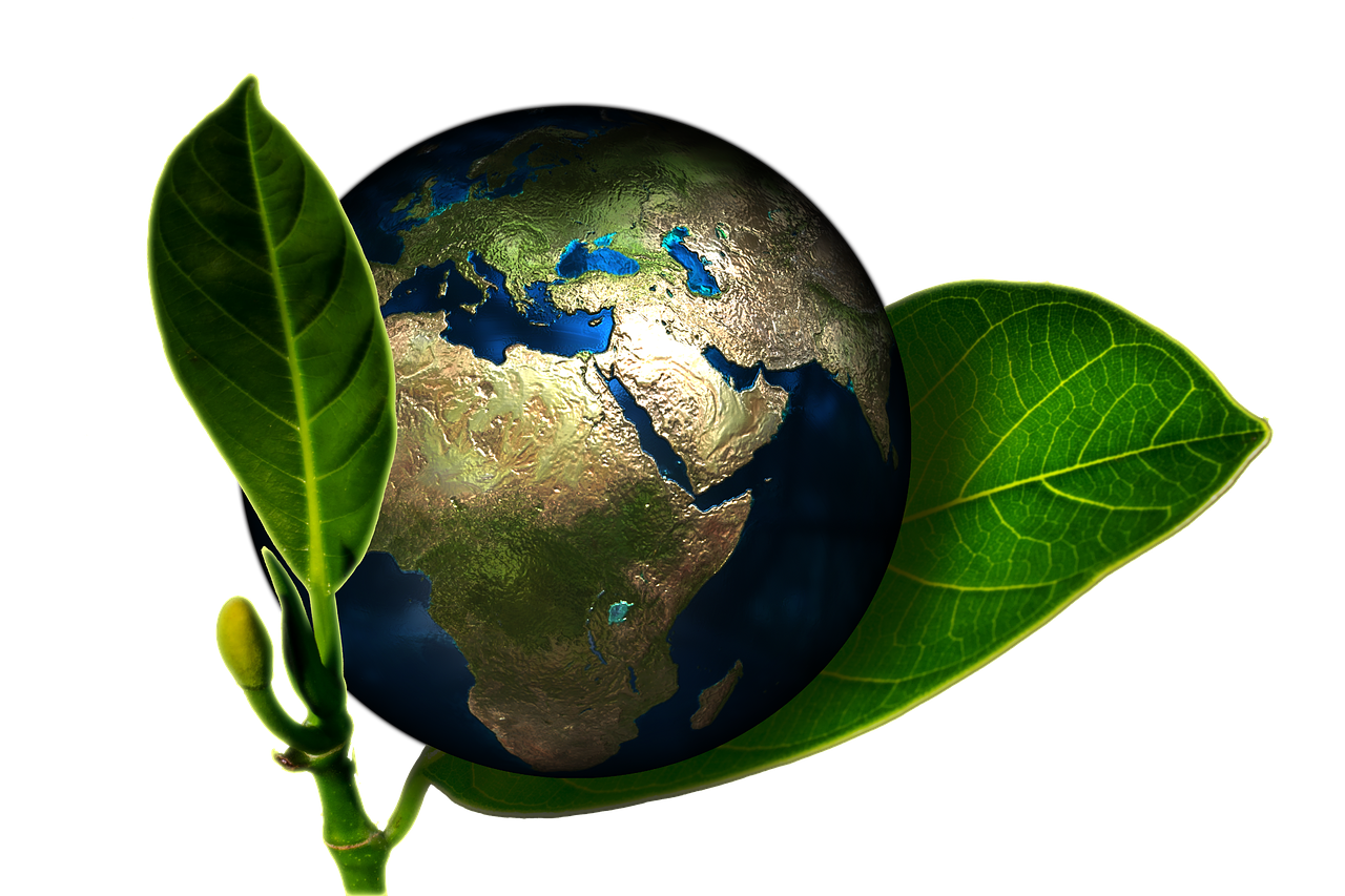 découvrez l'importance de la sensibilisation environnementale pour préserver notre planète. apprenez des astuces pratiques pour adopter un mode de vie durable et contribuer à la protection de notre environnement.