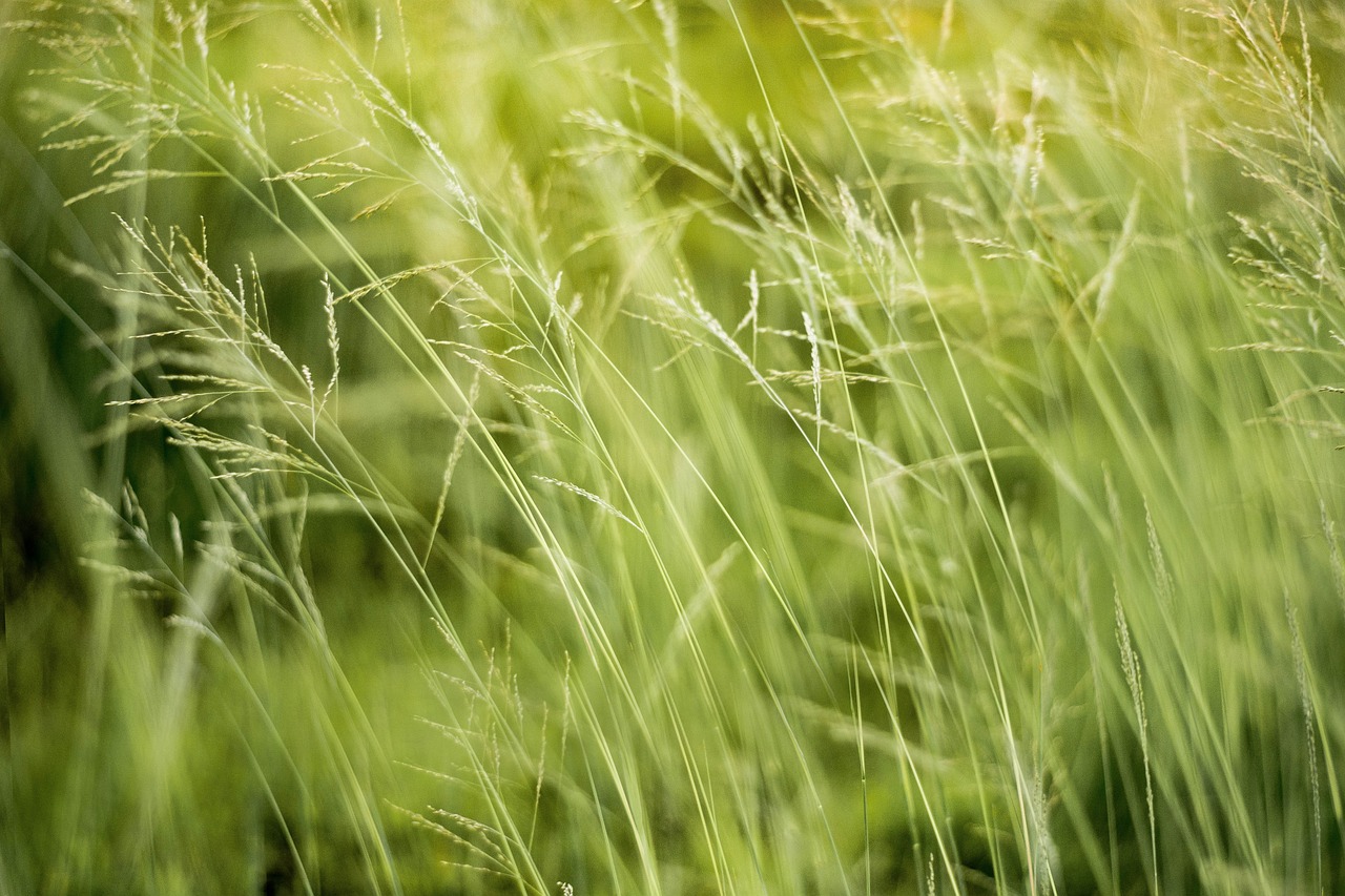 découvrez l'impact environnemental des activités humaines, les enjeux écologiques majeurs et les solutions innovantes pour préserver notre planète. engagez-vous pour un avenir durable !