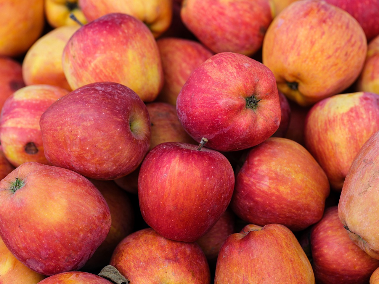 découvrez notre sélection de produits biologiques, sains et respectueux de l'environnement. offrez à votre corps le meilleur de la nature avec des aliments, cosmétiques et accessoires certifiés bio.