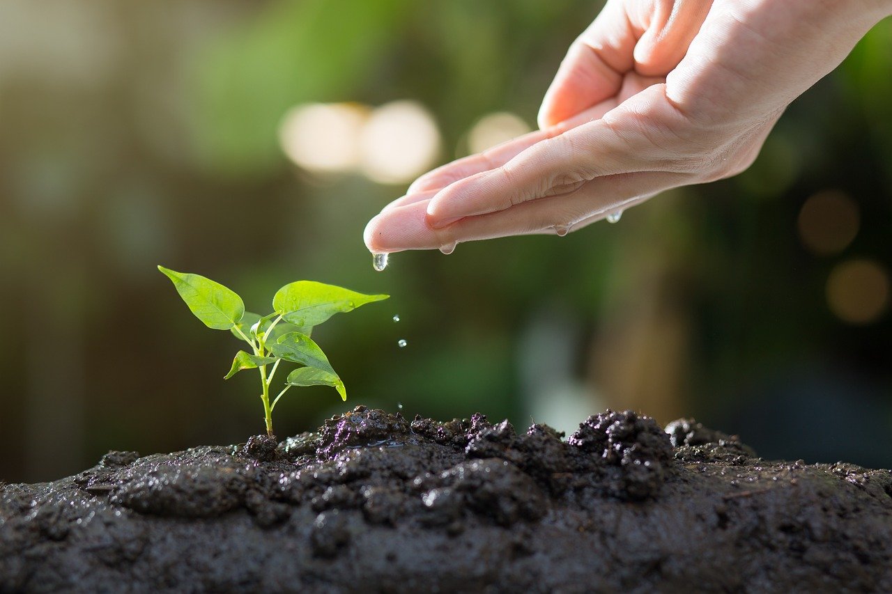 découvrez l'écologie, une science essentielle qui étudie les interactions entre les êtres vivants et leur environnement. explorez les enjeux cruciaux pour la préservation de notre planète et apprenez comment contribuer à un avenir durable.