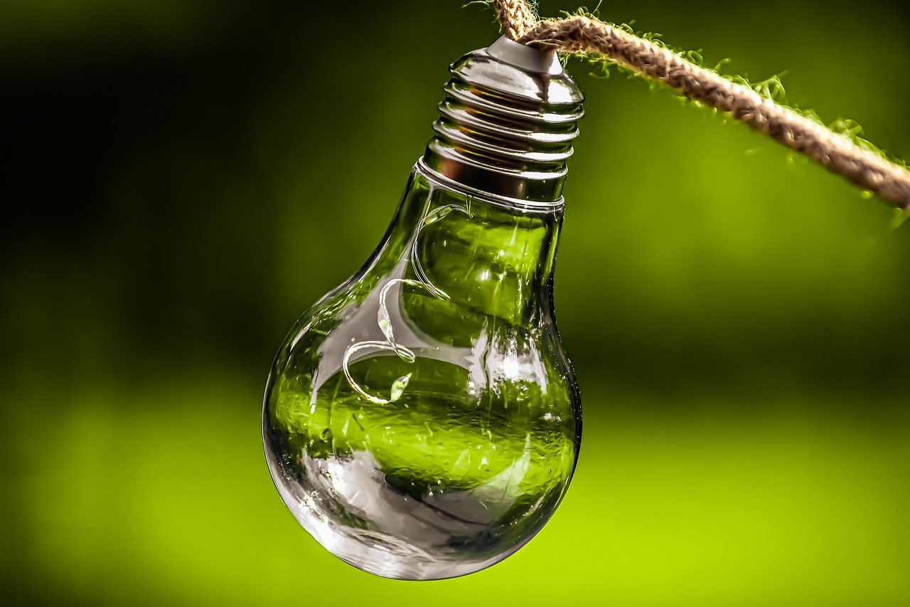 découvrez comment la durabilité et les pratiques écologiques peuvent transformer notre avenir. explorez des solutions innovantes pour un mode de vie respectueux de l'environnement et participez à la préservation de notre planète.