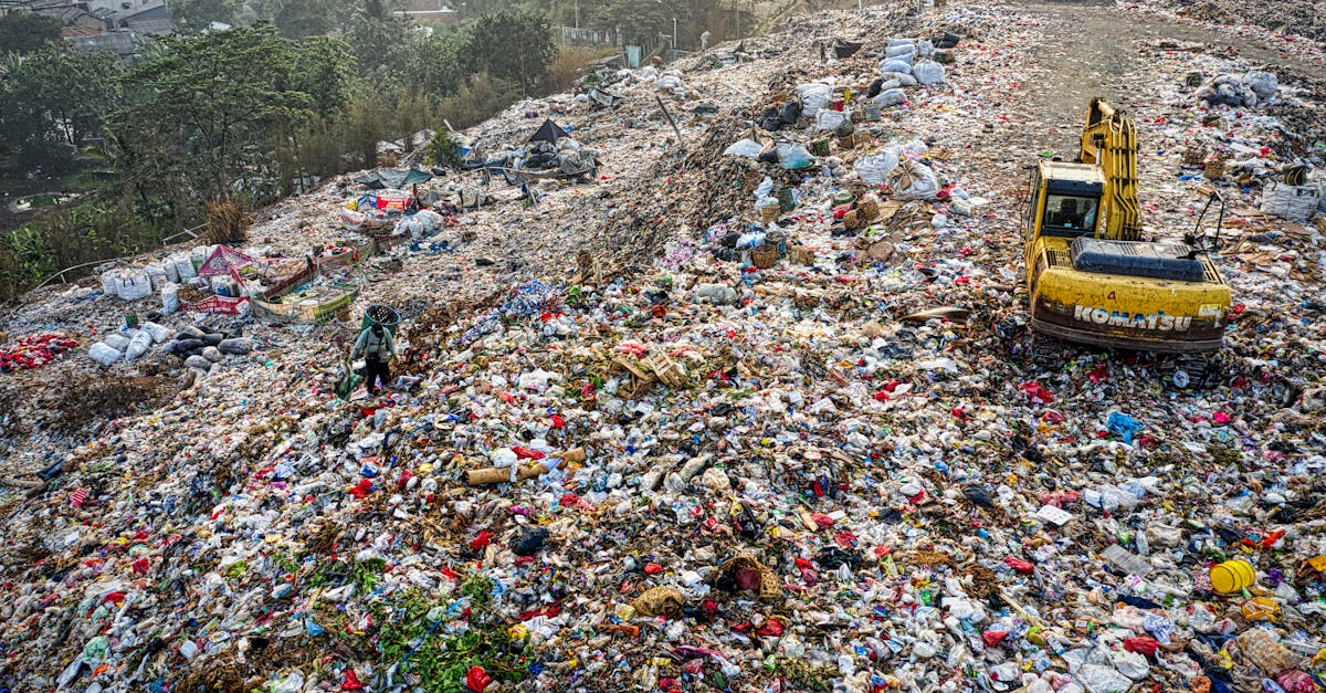 découvrez les enjeux liés aux déchets plastiques, leurs impacts sur l'environnement et les solutions durables pour réduire leur production. engagez-vous dans la lutte contre la pollution plastique et contribuez à un avenir plus vert.