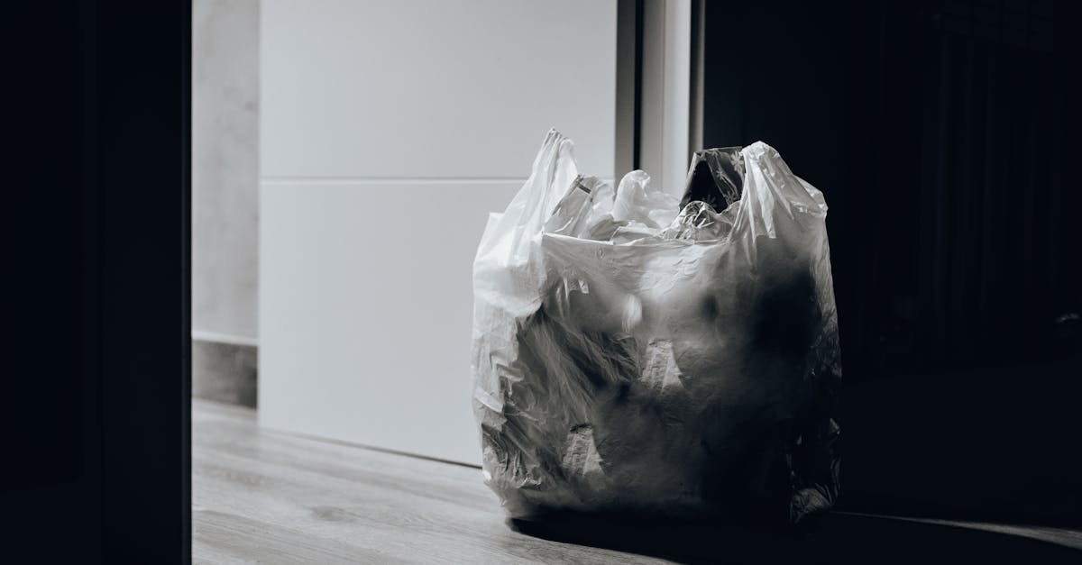 découvrez l'importance du recyclage pour préserver notre planète. apprenez comment trier vos déchets efficacement, les différents types de matériaux recyclables et les impacts positifs du recyclage sur l'environnement et la société.