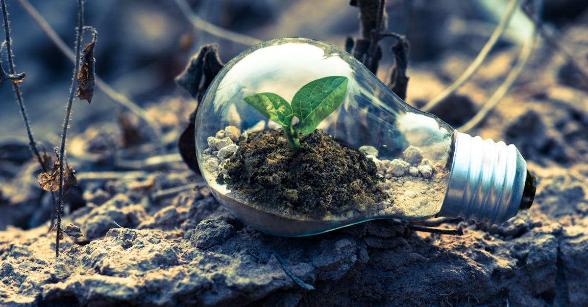 découvrez l'importance du recyclage pour la protection de notre planète. apprenez comment trier vos déchets, les avantages du recyclage et des conseils pratiques pour réduire votre empreinte écologique tout en contribuant à un avenir durable.