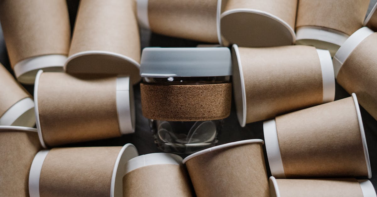 découvrez l'importance du recyclage pour préserver notre planète. apprenez des astuces pratiques pour mieux recycler au quotidien, diminuer les déchets et participer à un avenir durable. informez-vous sur les différents matériaux recyclables et les bénéfices environnementaux du recyclage.