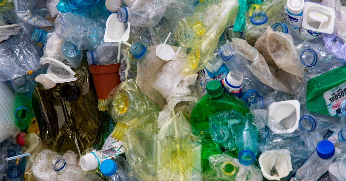 découvrez l'importance du recyclage pour préserver notre planète. apprenez les meilleures pratiques, les avantages environnementaux et comment vous pouvez contribuer à la réduction des déchets.