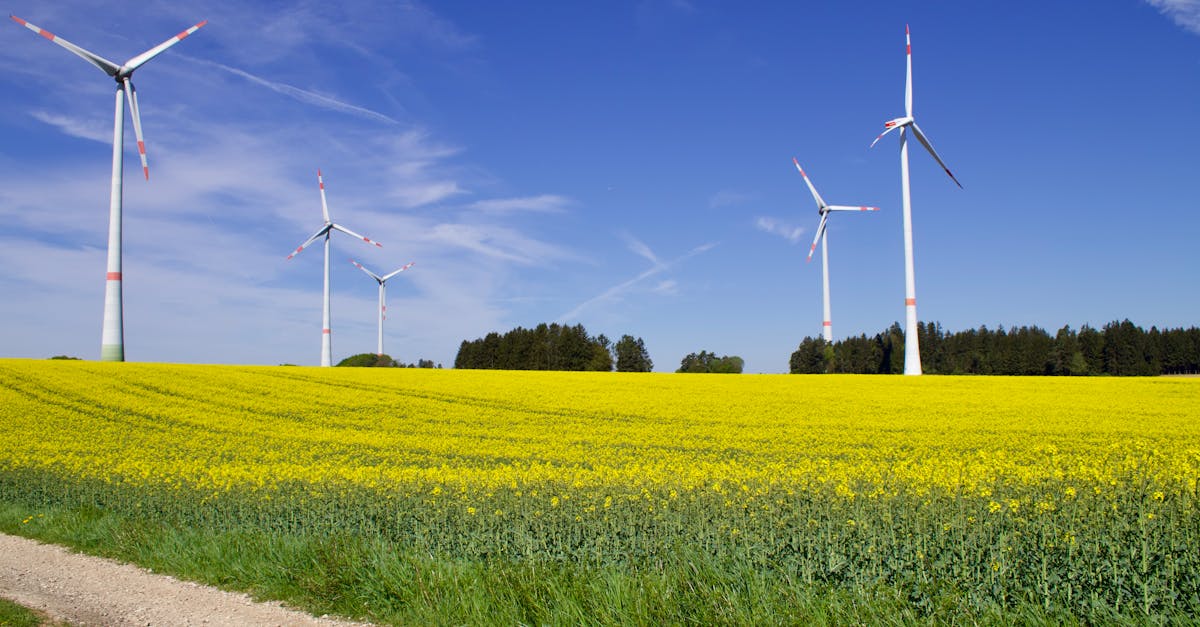 découvrez les principes de l'agriculture durable, une approche novatrice visant à protéger l'environnement tout en produisant des aliments de qualité. explorez les techniques écologiques qui favorisent la biodiversité, réduisent l'utilisation de produits chimiques et assurent la pérennité des ressources pour les générations futures.