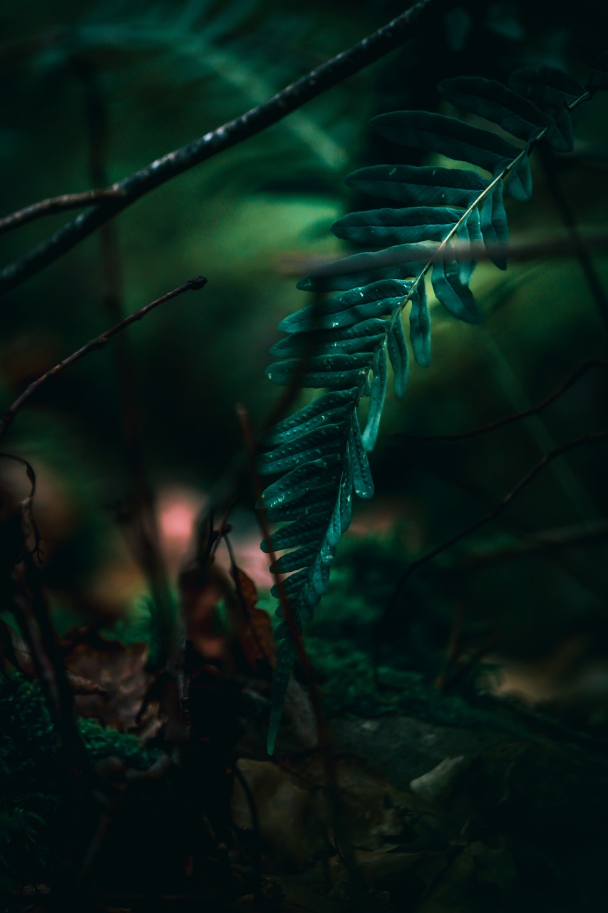 découvrez les principes du développement durable, une approche essentielle pour concilier progrès économique, justice sociale et protection de l'environnement. explorez les stratégies et les bonnes pratiques pour bâtir un avenir plus responsable et respectueux de notre planète.