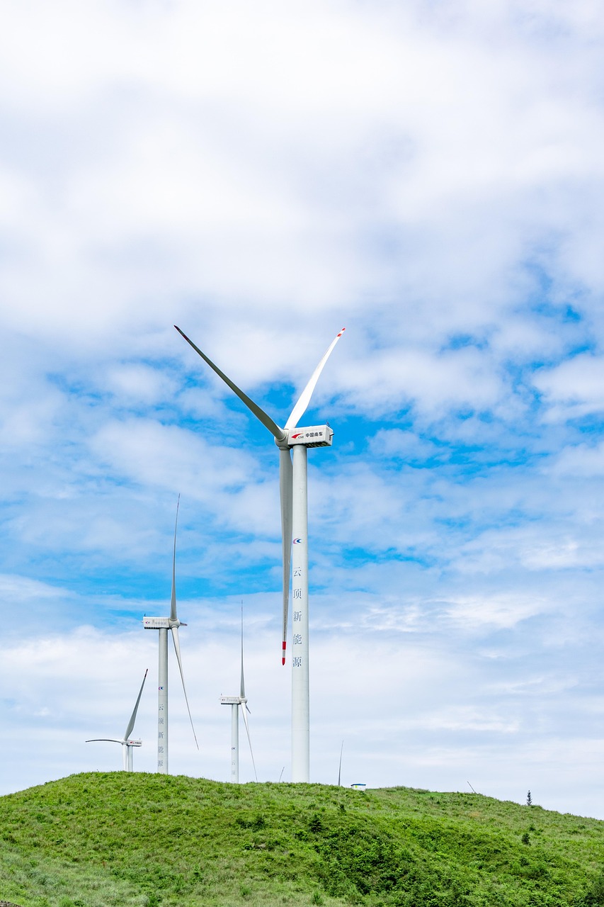 découvrez les principes du développement durable, une approche essentielle pour préserver notre planète tout en répondant aux besoins des générations futures. explorez les stratégies, les pratiques et les innovations qui favorisent une croissance économique responsable, la protection de l'environnement et le bien-être social.