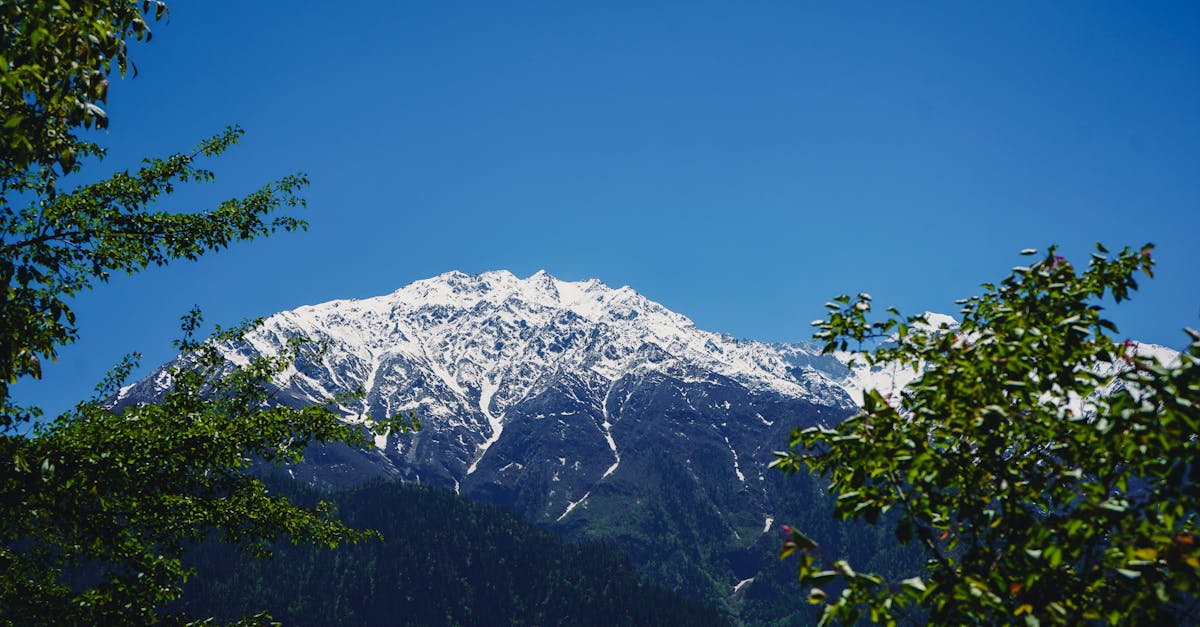 découvrez les dernières avancées en matière de captage du carbone, une technologie essentielle pour lutter contre le changement climatique. informez-vous sur les méthodes innovantes, les bénéfices environnementaux et les projets phares de capture du carbone qui s'efforcent de réduire les émissions de co2 et de préserver notre planète pour les générations futures.
