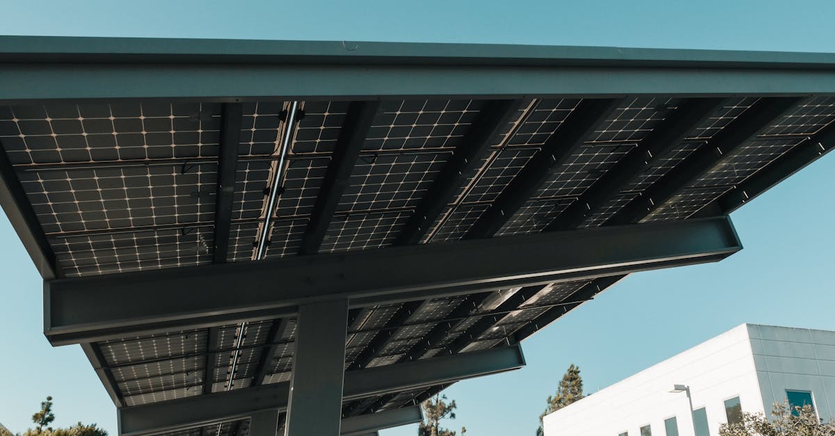 découvrez comment réduire votre empreinte carbone pour un avenir plus durable. explorez des conseils pratiques, des outils et des stratégies pour minimiser l'impact environnemental de vos activités quotidiennes.
