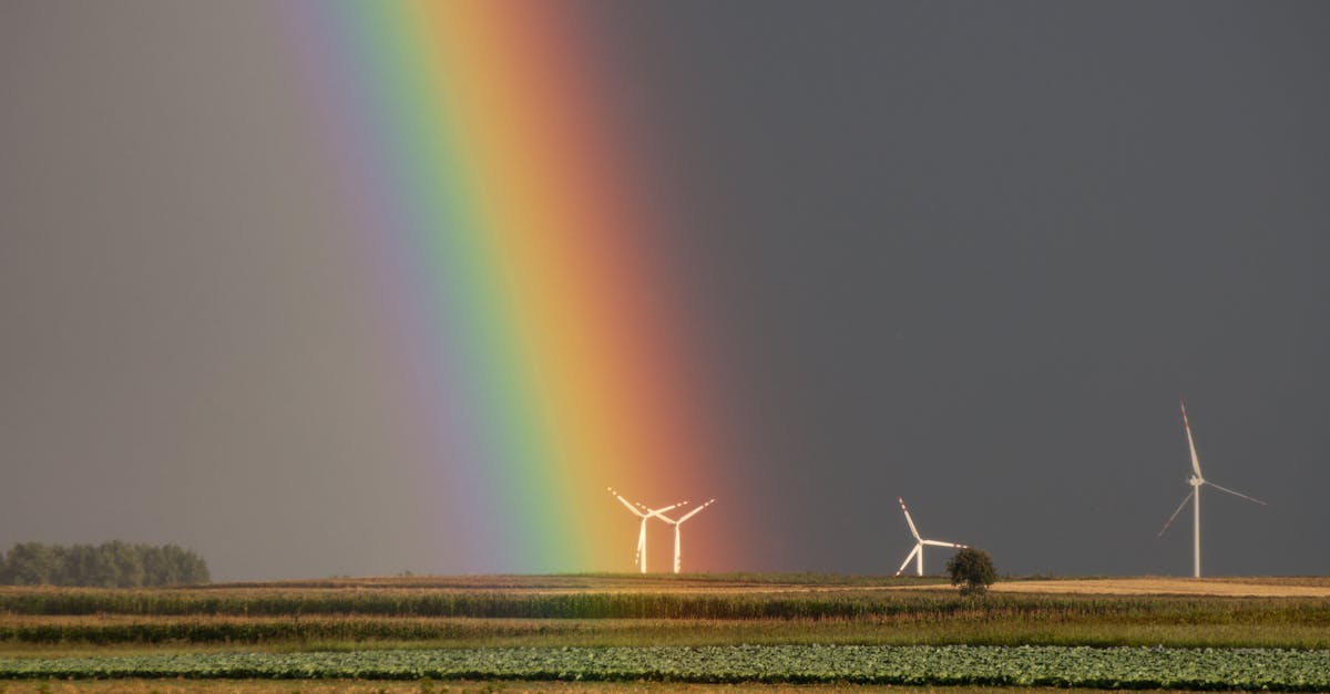 découvrez comment agir pour le climat et contribuer à la protection de notre planète. apprenez des stratégies et des initiatives pour réduire votre empreinte carbone et participer à un avenir durable.