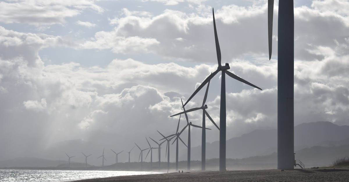 découvrez comment agir pour le climat et contribuer à un avenir durable. explorez des solutions pratiques, des initiatives citoyennes et des actions individuelles pour lutter contre le changement climatique.