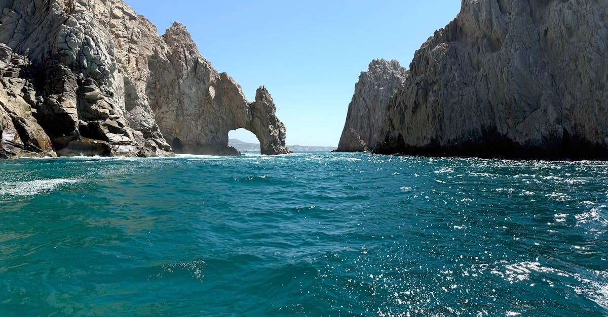 découvrez l'écotourisme, une forme de voyage respectueuse de l'environnement qui permet de vivre des aventures authentiques tout en préservant la nature. explorez des destinations durables, engagez-vous avec les communautés locales et contribuez à la protection des écosystèmes. optez pour un tourisme responsable et enrichissant.