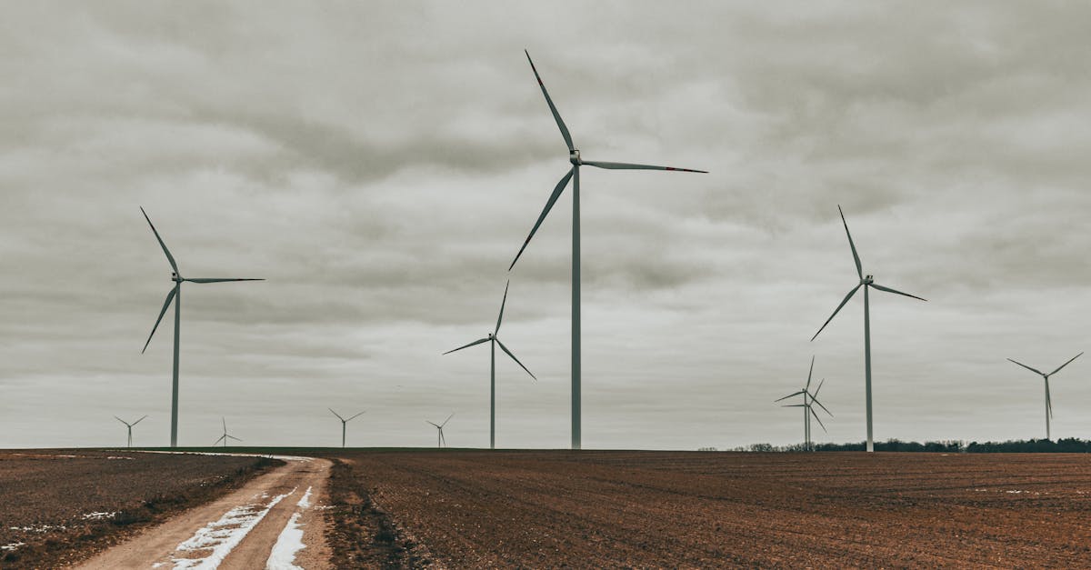 découvrez les enjeux et les innovations de la transition énergétique. explorez comment les technologies durables et les politiques écologiques peuvent transformer notre avenir, réduire l'empreinte carbone et favoriser un développement durable.