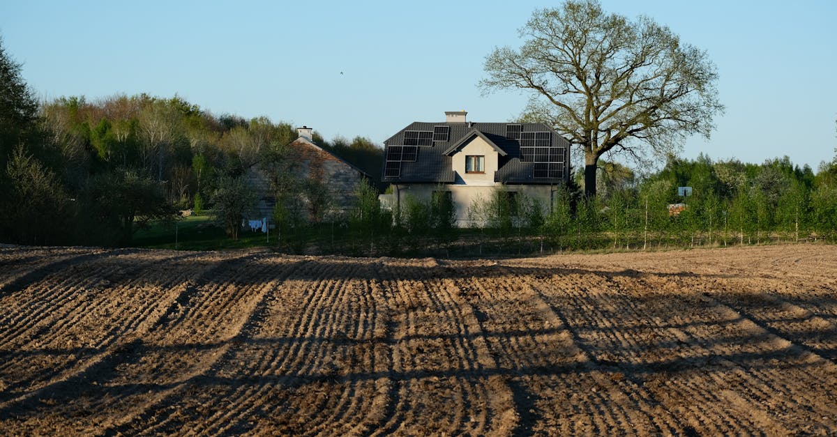 découvrez les certifications environnementales qui garantissent la durabilité et la responsabilité des entreprises. apprenez comment ces labels contribuent à la protection de l'environnement et à la promotion de pratiques écologiques.