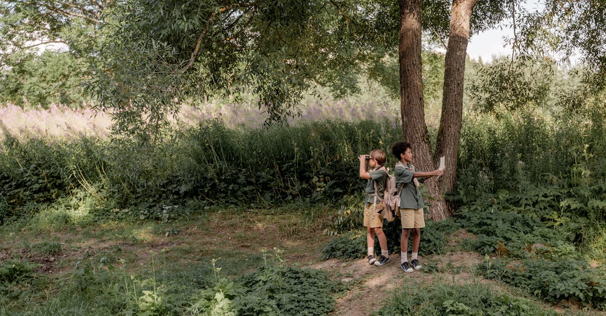 découvrez l'éducation environnementale, une approche essentielle pour sensibiliser et former les individus à la protection de notre planète. apprenez les enjeux écologiques actuels, des solutions durables et comment chacun peut contribuer à un avenir meilleur.