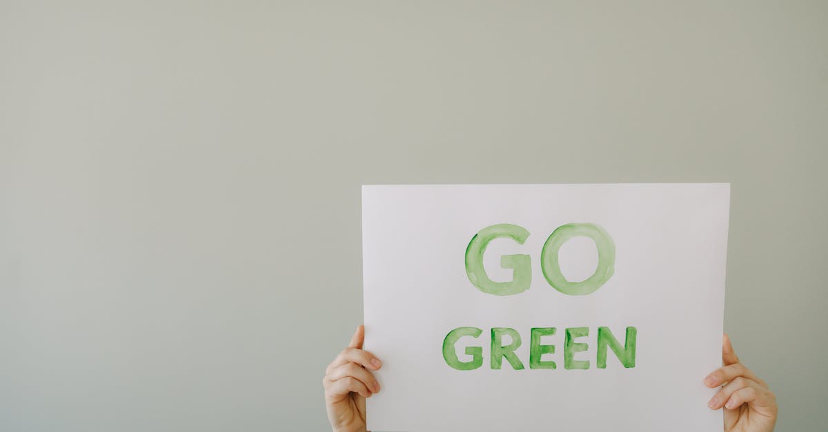 découvrez comment la green economy transforme notre monde en intégrant des pratiques durables et respectueuses de l'environnement dans les secteurs économiques. explorez les avantages d'une économie verte pour un avenir plus durable et prospère.