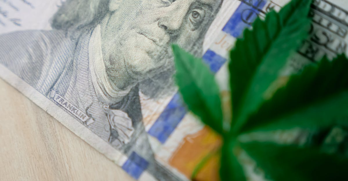 découvrez le financement vert, une approche innovante visant à soutenir des projets durables et respectueux de l'environnement. apprenez comment cette tendance économique favorise la transition vers une économie plus verte et réduit l'impact climatique tout en stimulant la croissance financière.
