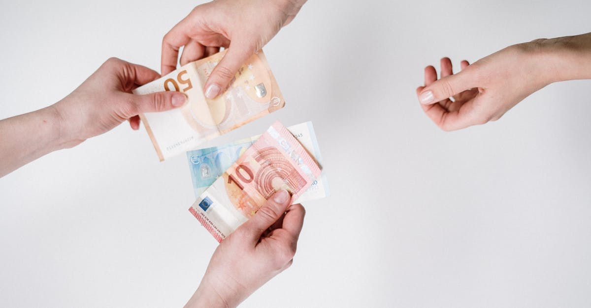 découvrez le financement vert, une approche innovante pour investir dans des projets durables et respectueux de l'environnement. apprenez comment le financement vert contribue à la transition écologique et soutient les initiatives visant à réduire l'empreinte carbone tout en favorisant le développement économique.