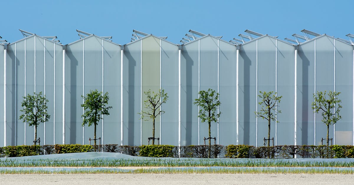 découvrez des stratégies efficaces pour réduire les émissions de gaz à effet de serre. apprenez comment adopter des pratiques durables et promouvoir un avenir écologique pour notre planète.