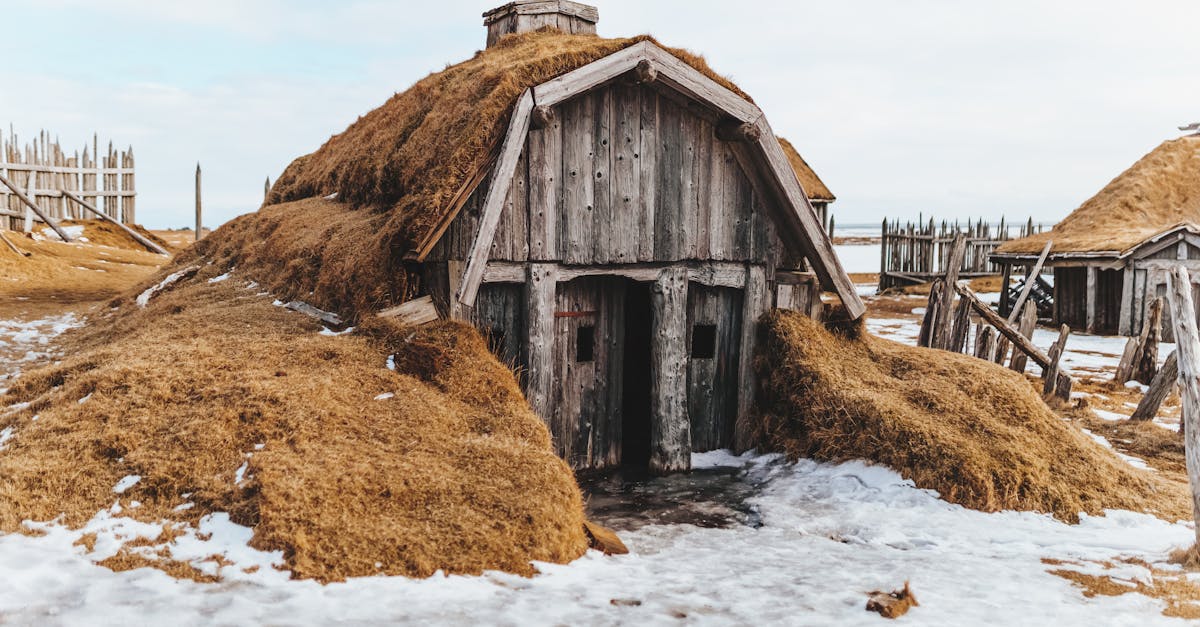découvrez l'importance de la préservation de l'habitat pour la biodiversité et l'équilibre des écosystèmes. apprenez des méthodes efficaces pour protéger les habitats naturels et contribuer à la conservation de notre planète.