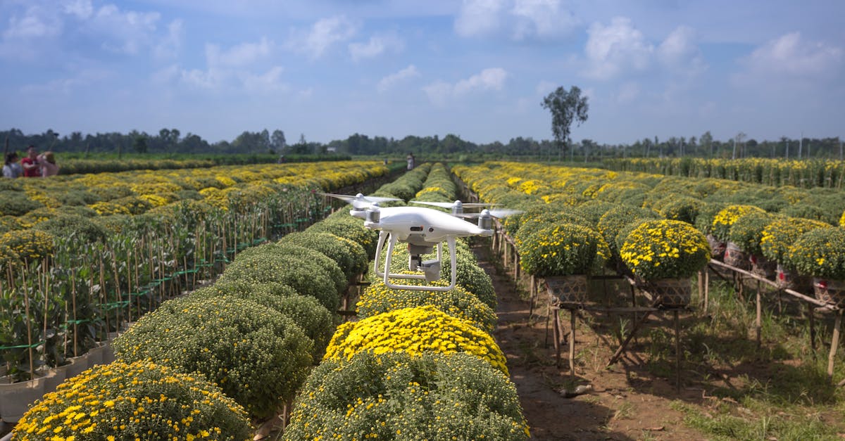 découvrez les pesticides naturels, une alternative écologique et efficace pour protéger vos cultures tout en respectant l'environnement. apprenez comment utiliser ces solutions durables pour une agriculture saine et responsable.