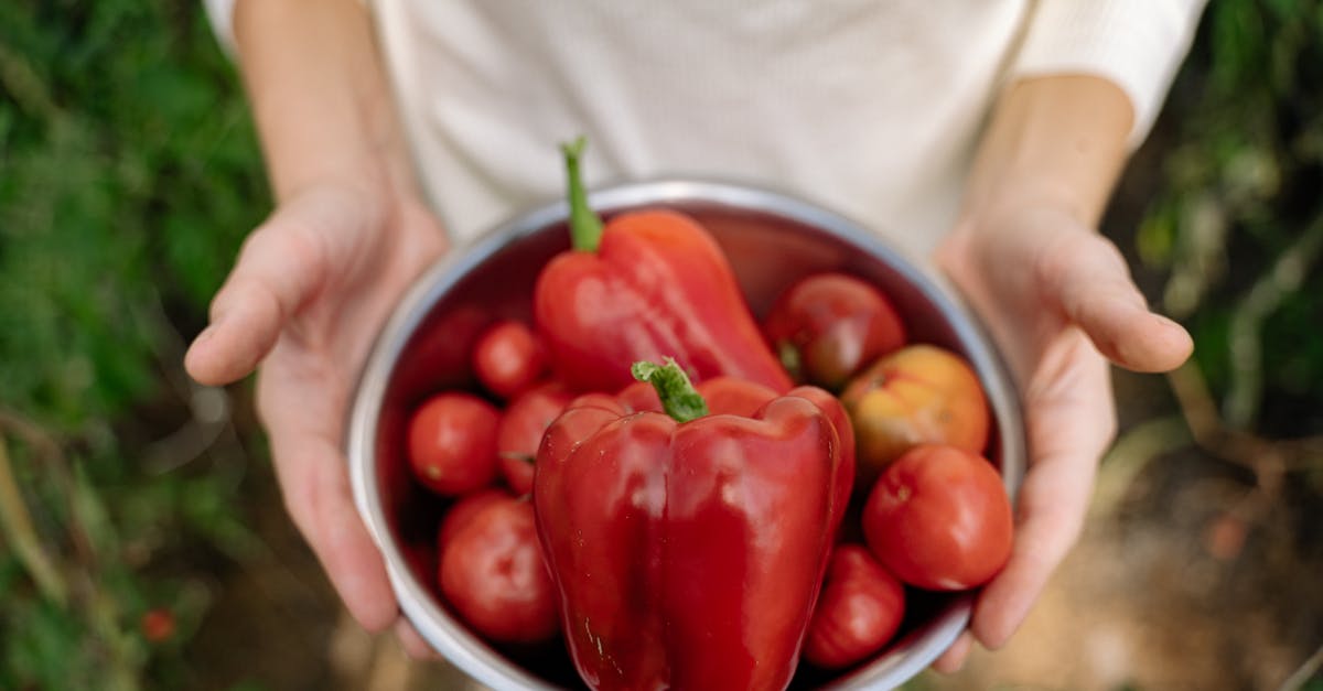 découvrez l'efficacité des pesticides naturels pour protéger vos cultures tout en respectant l'environnement. apprenez à utiliser des solutions écologiques pour une agriculture durable et saine.