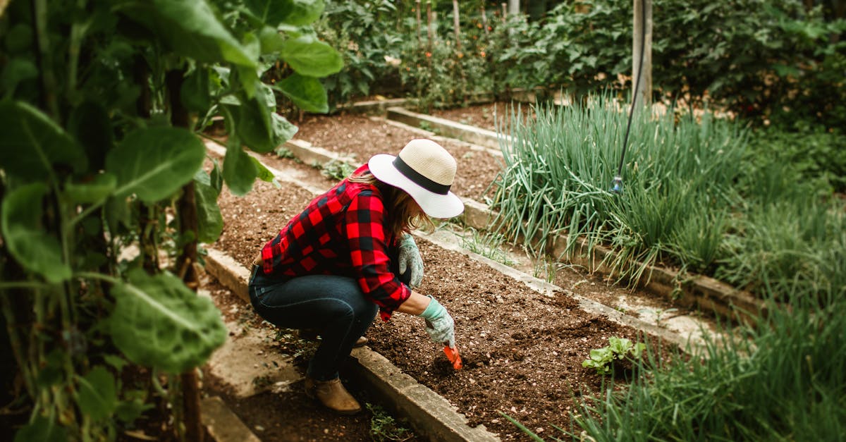 découvrez les pesticides naturels pour protéger vos cultures tout en respectant l'environnement. apprenez à utiliser des solutions écologiques pour lutter contre les ravageurs efficacement et durablement.