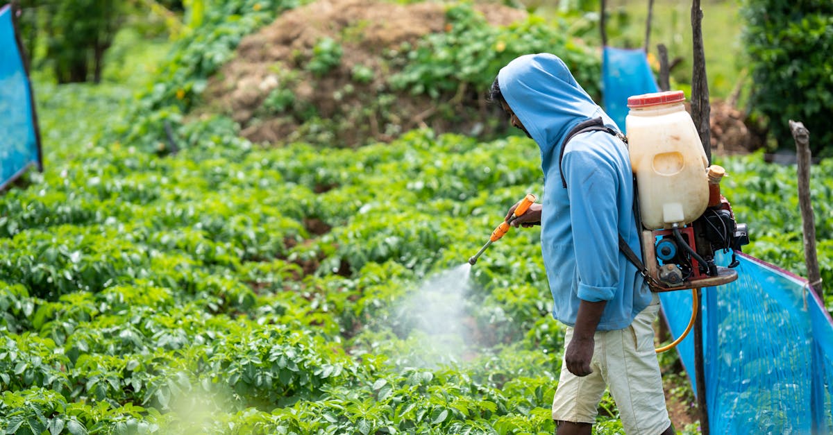 découvrez les pesticides naturels, une alternative écologique et efficace pour protéger vos cultures tout en préservant l'environnement. apprenez comment ces solutions biologiques peuvent vous aider à lutter contre les ravageurs tout en respectant la biodiversité.