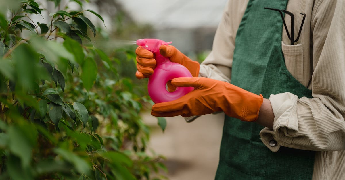 découvrez la permaculture, une méthode de culture durable qui harmonise l'agriculture avec la nature. apprenez à concevoir des écosystèmes agricoles résilients, favorisant la biodiversité et la qualité des sols. explorez nos conseils, techniques et ressources pour appliquer la permaculture dans votre jardin ou votre exploitation.