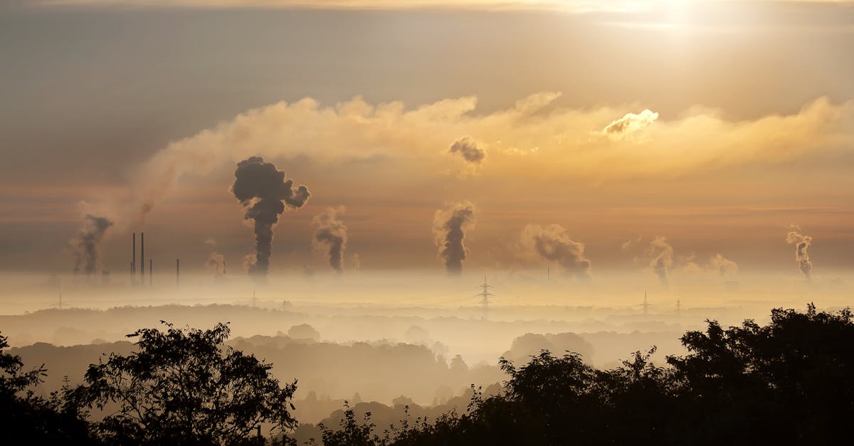 découvrez les enjeux de la pollution, ses impacts sur l'environnement et la santé, ainsi que des solutions pour réduire notre empreinte écologique. informez-vous sur les différentes formes de pollution et engagez-vous pour un avenir plus propre.