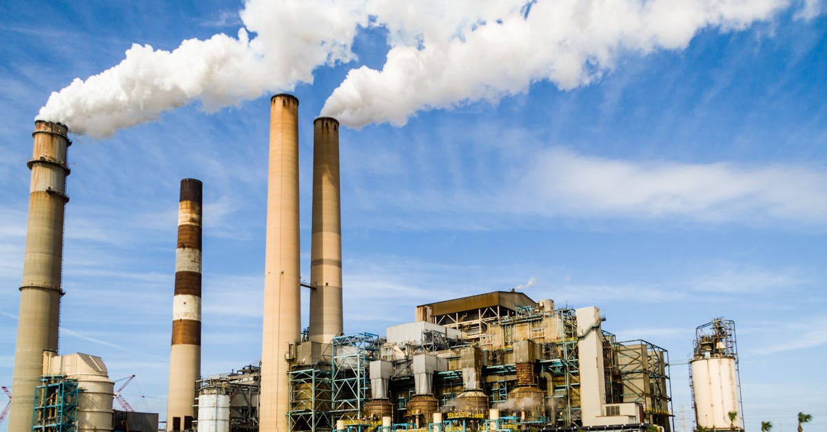 découvrez les causes, les effets et les solutions à la pollution. informez-vous sur les défis environnementaux contemporains et comment chacun peut contribuer à un avenir plus sain et durable.