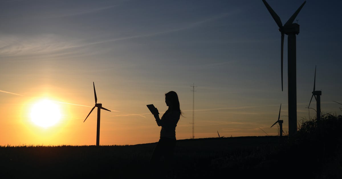 découvrez l'importance de la durabilité dans notre monde moderne. apprenez comment adopter des pratiques respectueuses de l'environnement pour préserver notre planète pour les générations futures.