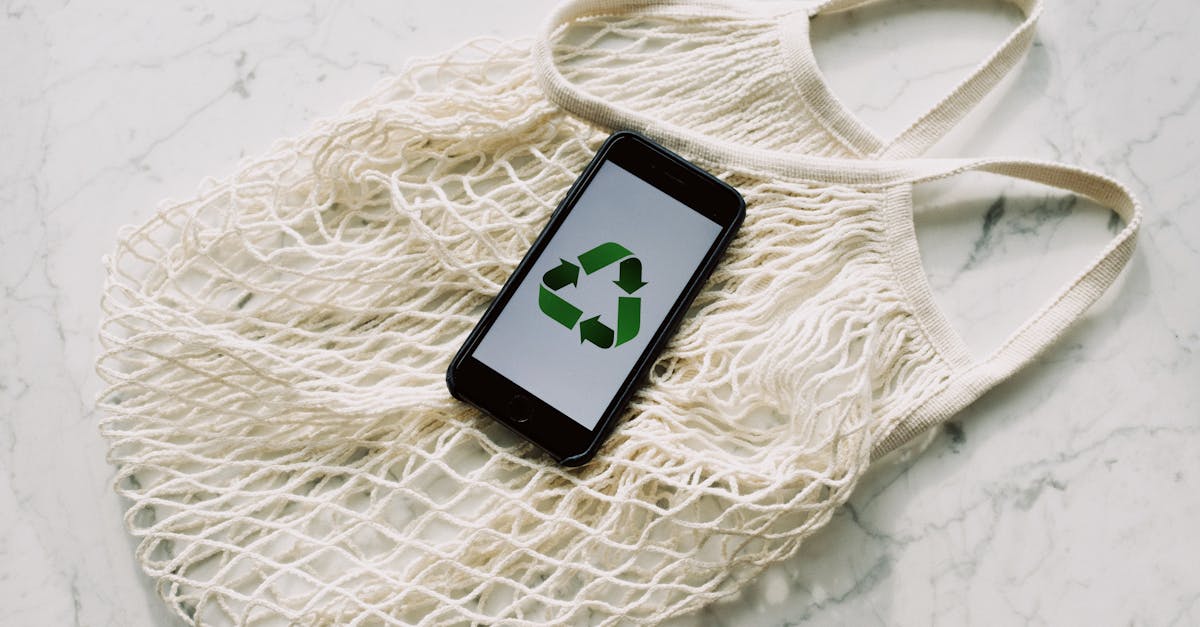découvrez des pratiques durables et responsables pour préserver notre planète. engagez-vous vers un avenir écoresponsable grâce à des solutions innovantes et durables, à la fois pour les individus et les entreprises.