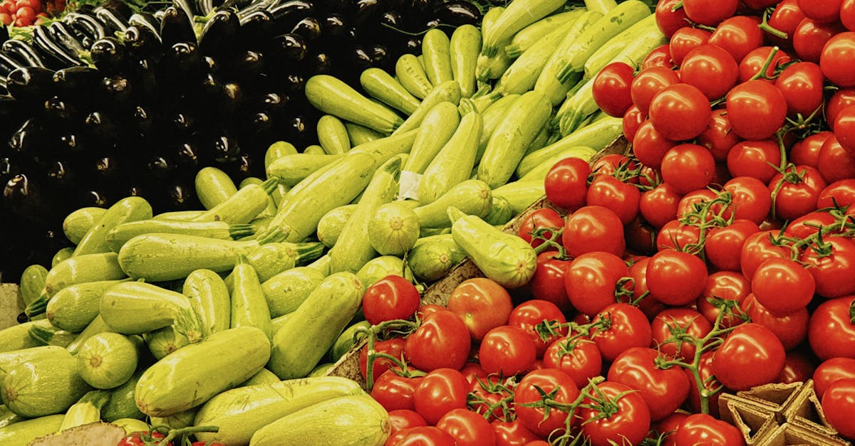 découvrez l'agriculture durable, une approche innovante qui conjugue production agricole et respect de l'environnement. apprenez comment promouvoir des pratiques agricoles écologiques pour préserver la biodiversité et garantir la sécurité alimentaire des générations futures.