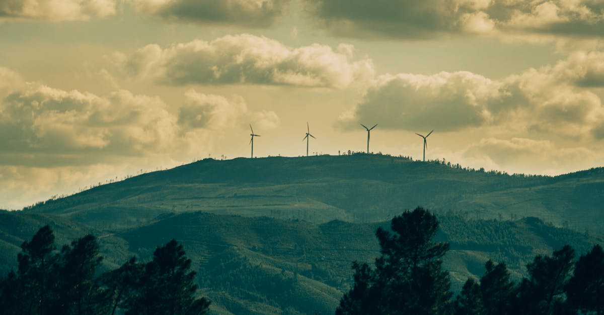 découvrez les enjeux et les pratiques du consommation durable, une approche éthique et responsable pour réduire notre impact sur l'environnement tout en préservant les ressources pour les générations futures.
