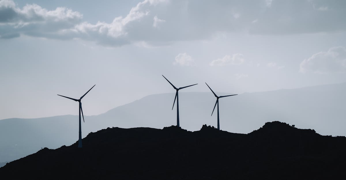 découvrez les principes du développement durable, leur importance pour l'avenir de la planète et comment nous pouvons tous contribuer à un monde plus équitable et respectueux de l'environnement.