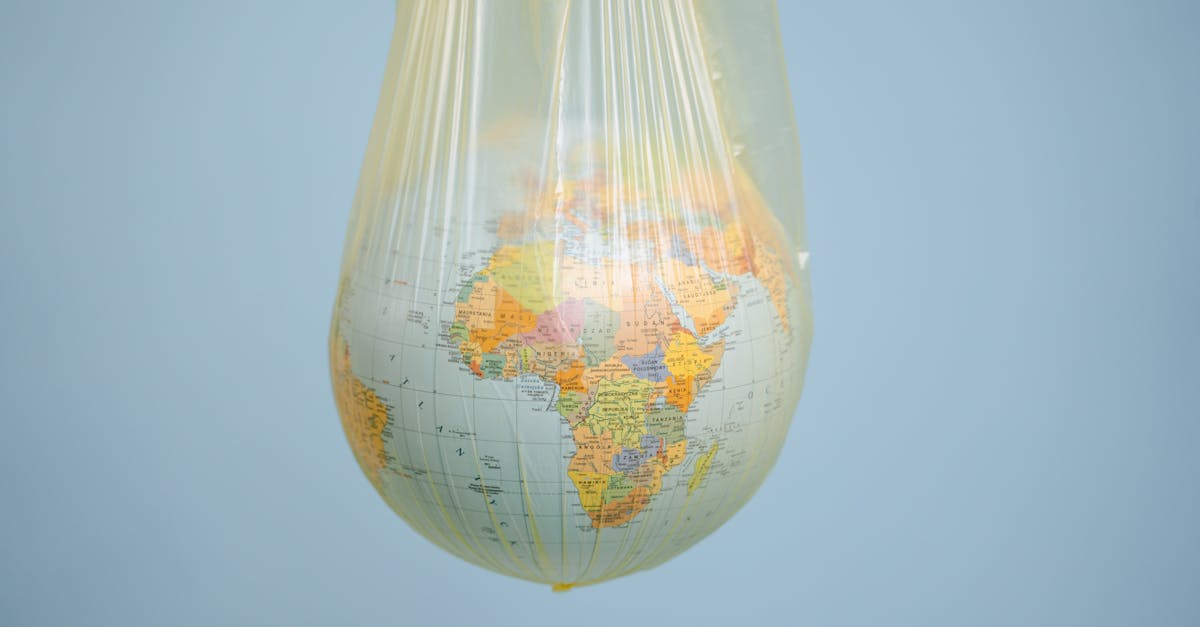 découvrez comment le développement durable contribue à un avenir plus vert et équitable. explorez des stratégies innovantes, des solutions écologiques et des initiatives communautaires qui favorisent la préservation de l'environnement tout en soutenant la croissance économique. engagez-vous pour un monde durable dès aujourd'hui!