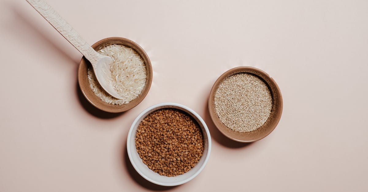 découvrez l'univers de l'alimentation durable : des choix savoureux et éco-responsables pour préserver notre planète tout en profitant d'une cuisine saine et délicieuse.