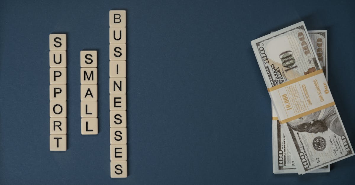 découvrez comment l'investissement durable transforme notre économie et promeut un avenir respectueux de l'environnement. explorez des stratégies pour allier rentabilité et responsabilité sociale.
