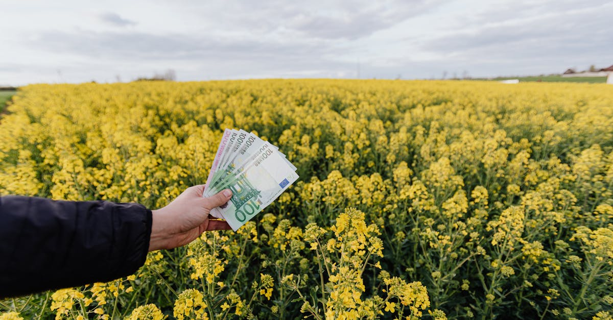 découvrez les principes de l'investissement durable : comment allier rentabilité financière et impact positif sur l'environnement et la société. adoptez une approche responsable pour un avenir meilleur.