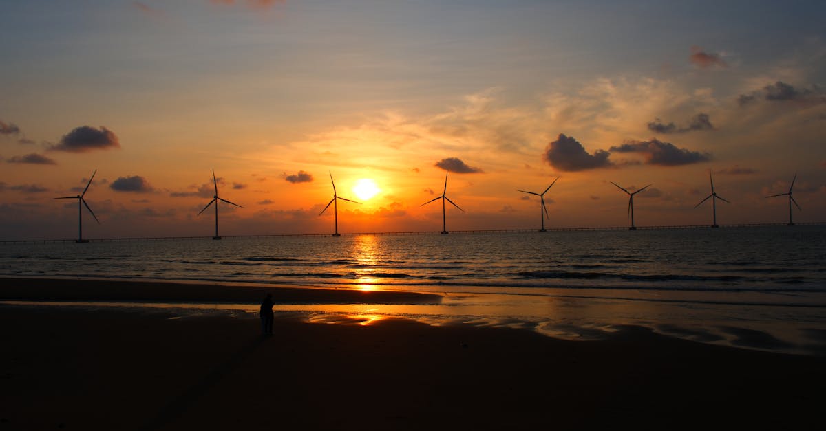 découvrez des stratégies durables pour optimiser vos activités et promouvoir un avenir respectueux de l'environnement. apprenez comment intégrer des pratiques éco-responsables dans votre entreprise et contribuer à un développement durable.