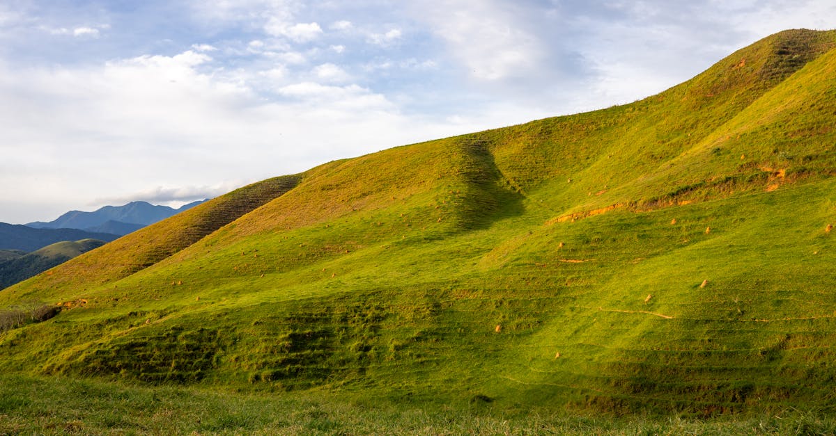 découvrez les mécanismes et stratégies de financement climatique pour soutenir les initiatives durables et lutter contre le changement climatique. explorez comment les investissements verts transforment l'économie mondiale et favorisent un avenir respectueux de l'environnement.