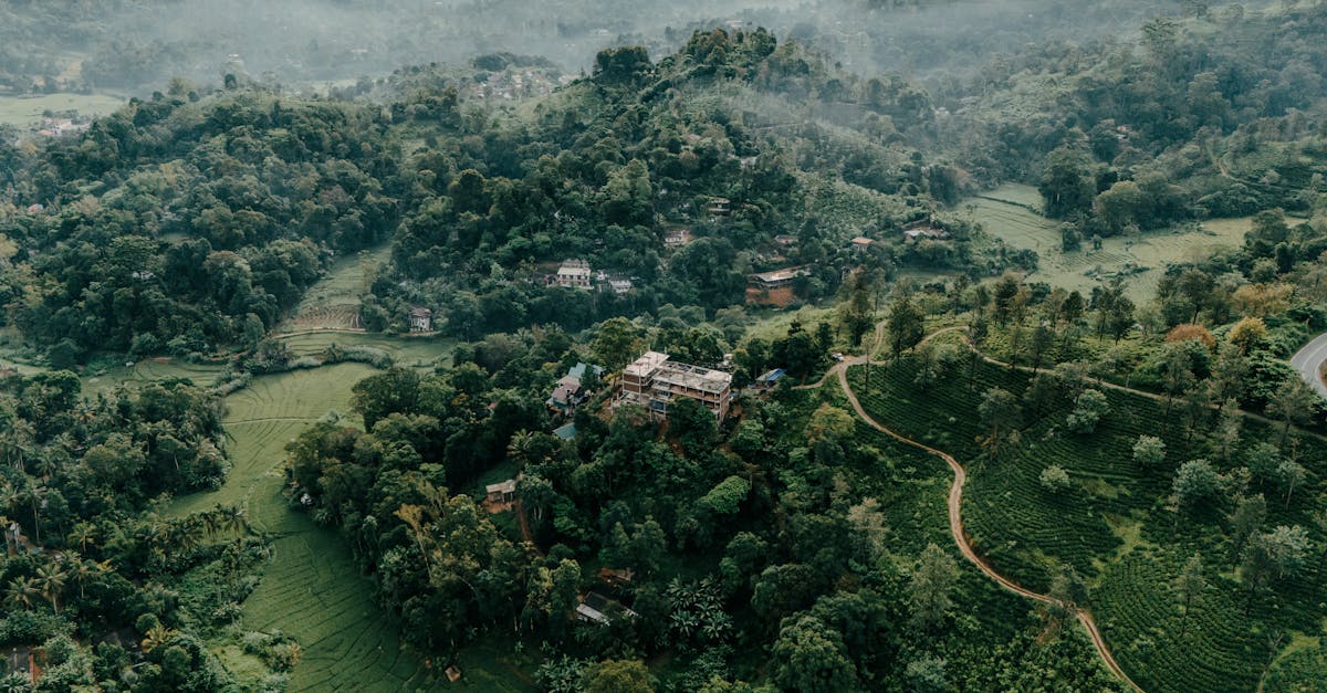 découvrez l'importance de la stabilité climatique pour notre planète. explorez les enjeux, les solutions et les actions que nous pouvons entreprendre pour assurer un avenir durable et équilibré face aux défis environnementaux.